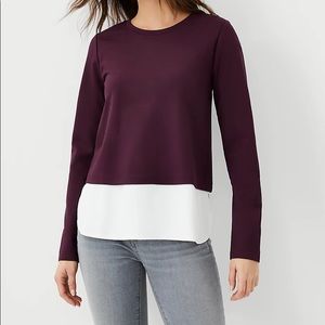 NWT Ann Taylor Layered Top